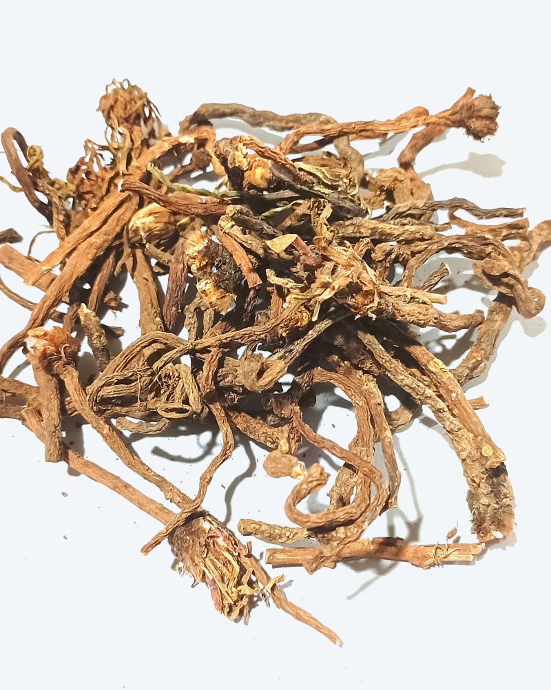 蒲公英纯根公英茶婆婆丁黄花苗根干品