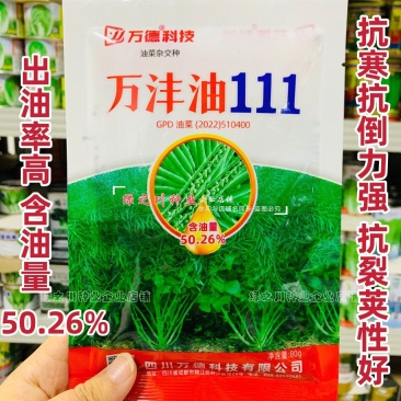 抗寒油菜籽含油量高万沣油111油菜种子抗倒性强出油多