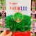 抗寒油菜籽含油量高万沣油111油菜种子抗倒性强出油多