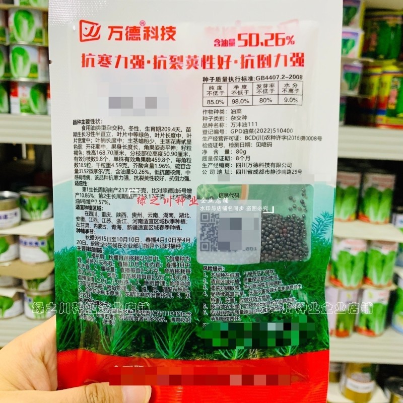 抗寒油菜籽含油量高万沣油111油菜种子抗倒性强出油多