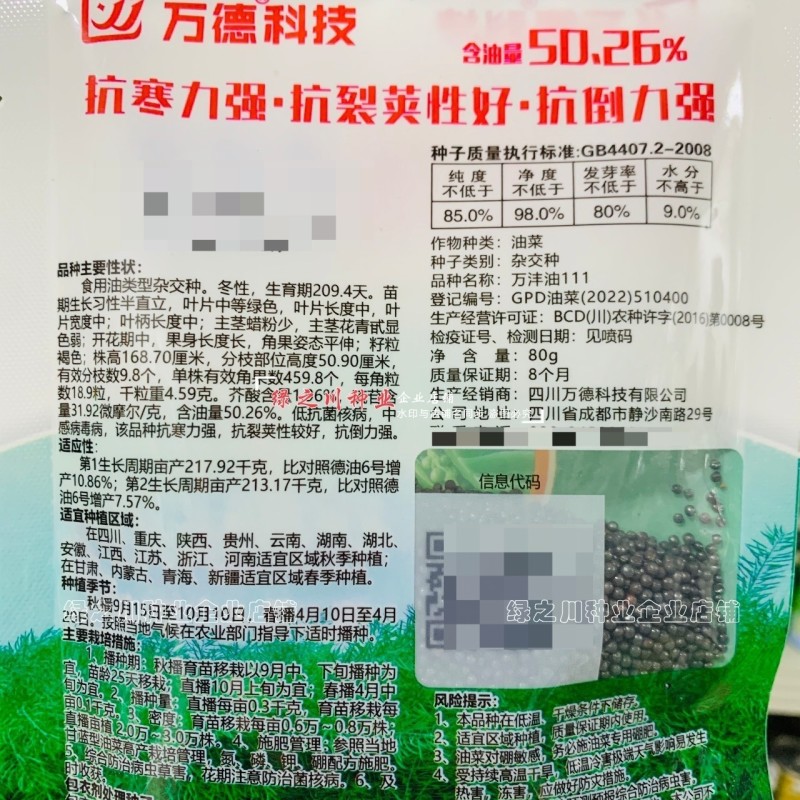 抗寒油菜籽含油量高万沣油111油菜种子抗倒性强出油多