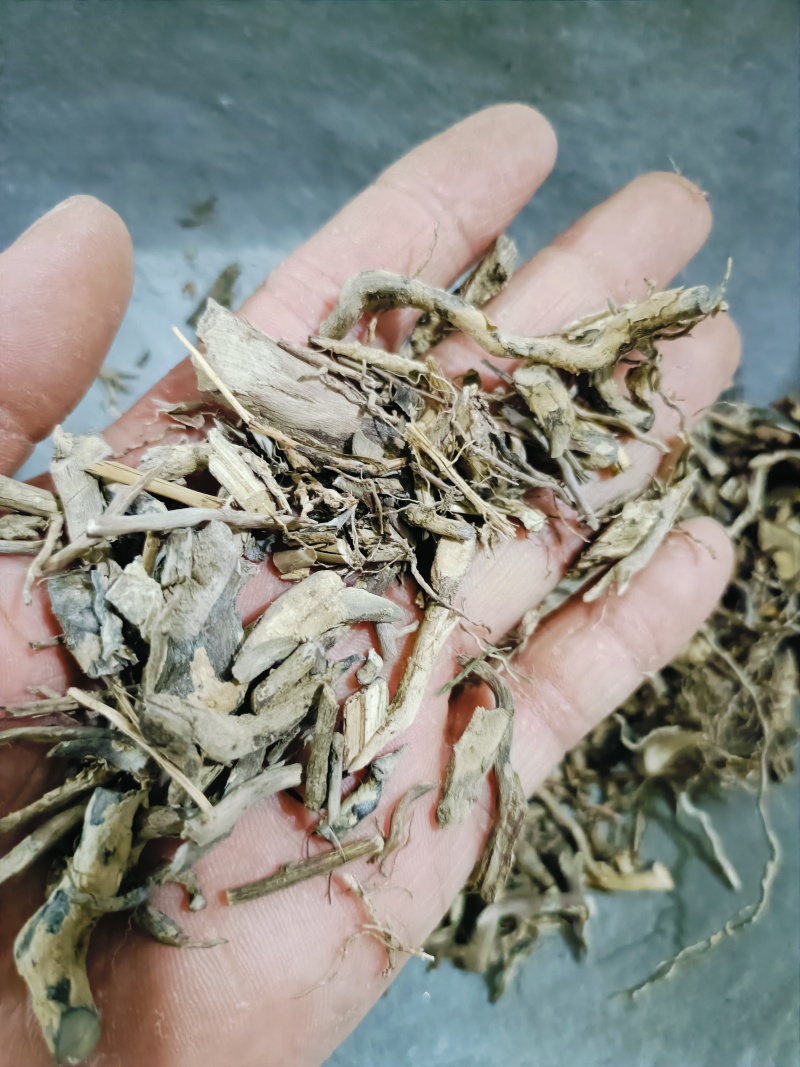 六月雪，白马骨中药材供应，量大从优质量保证！