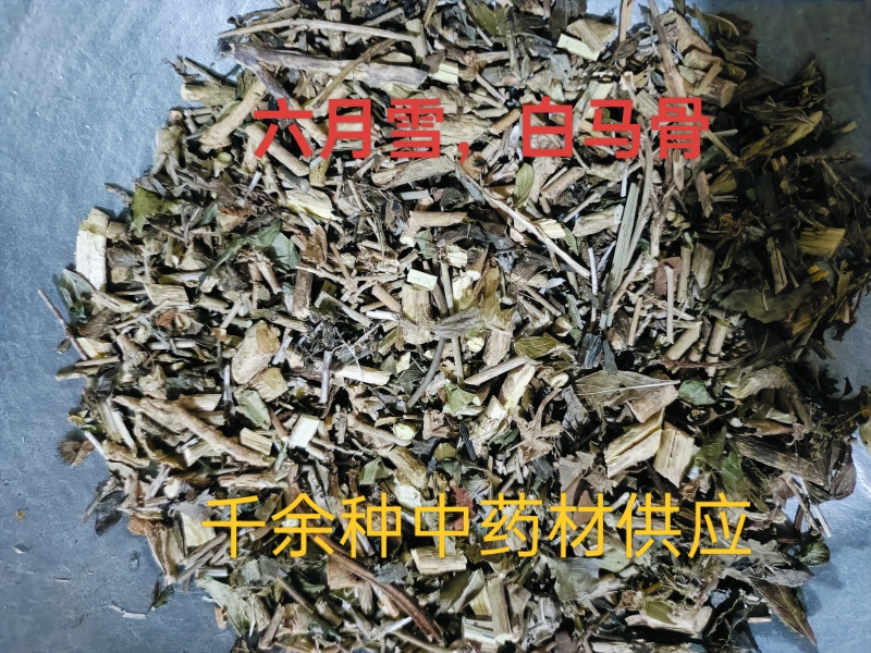 六月雪，白马骨中药材供应，量大从优质量保证！