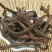蒲公英纯根公英茶婆婆丁黄花苗根干品