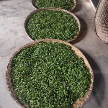 普洱茶原生态人工制作