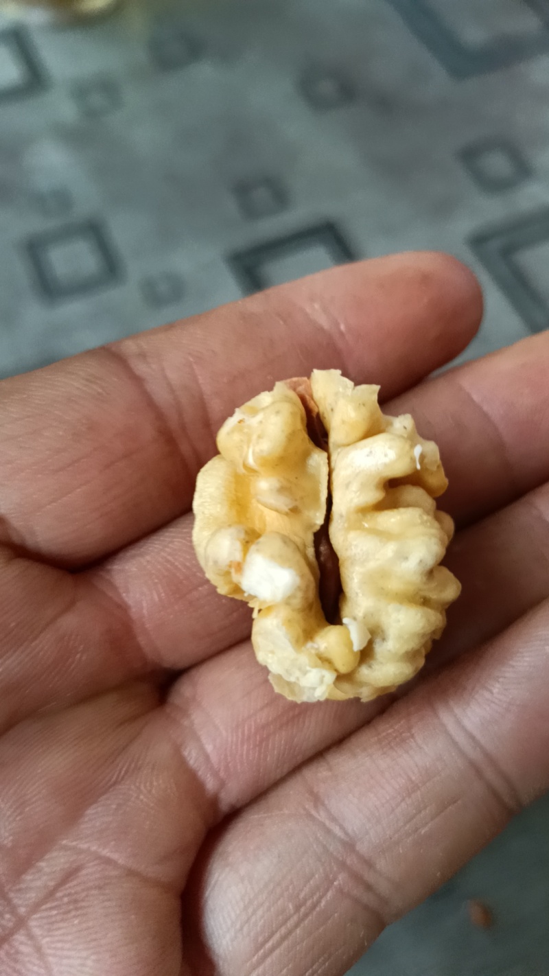 礼品2号，辽系，清香
