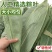 干粽叶批发厂家供货一件也是批发价，粽叶柔软度好