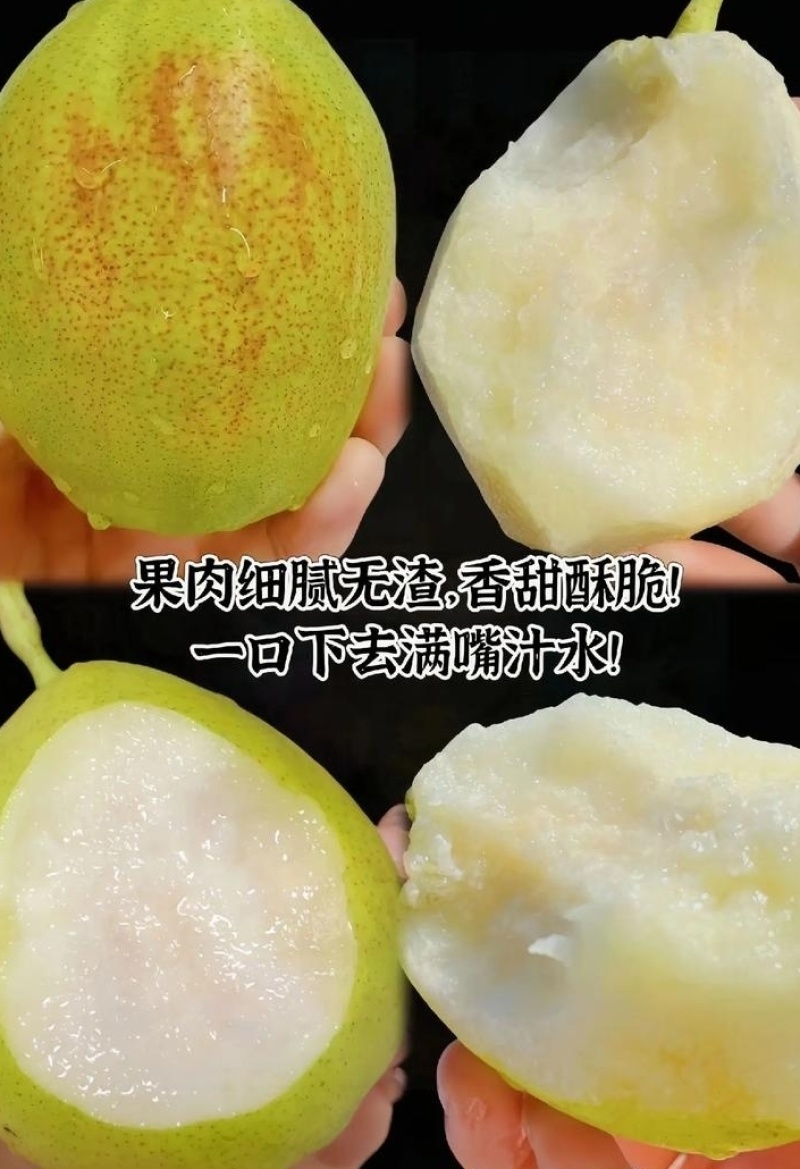[热卖]红香酥梨大量上市，需要入库，市场，电商的联系。