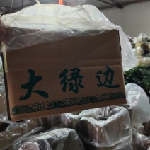 整棵海带，包饭海带，社区团购爆品