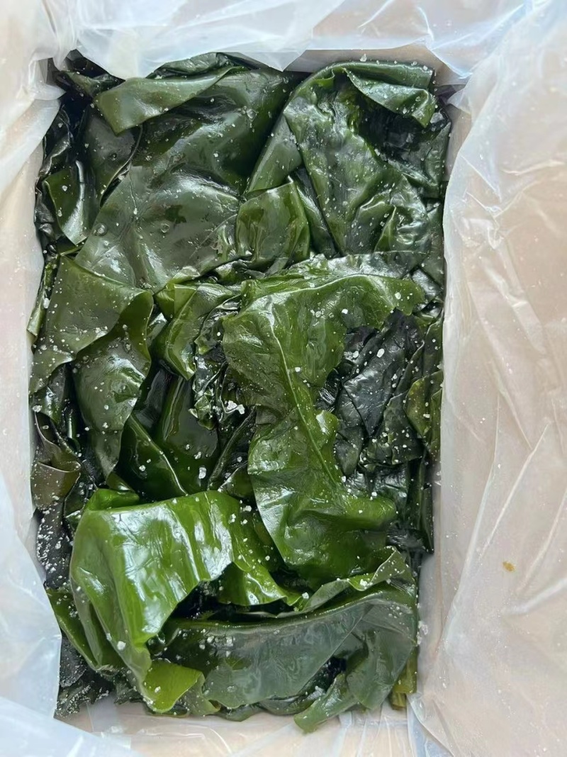 整棵海带，包饭海带，社区团购爆品
