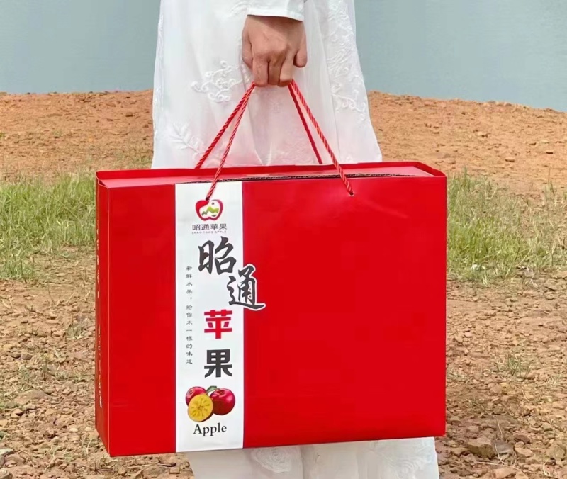 昭通红富士苹果，电商市场大量供应，可装箱，代发，代收