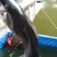 东江湖黑背鸭嘴鱼，黑背鸭嘴鱼，活力强，无腥味，耐运输