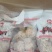 肚包肉（一斤3个，一斤4个，肚包牛肉，肚包羊肉都有）