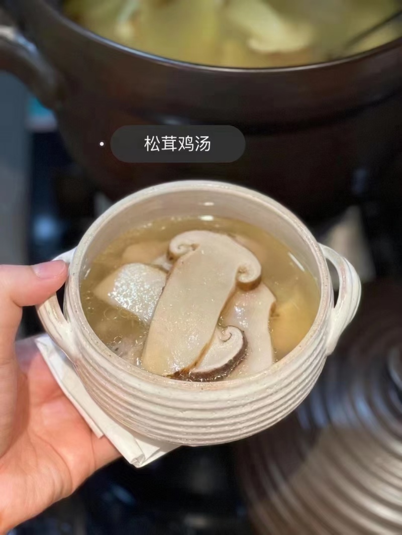 新鲜的香格里拉松茸，一件代发，大件批发，顺丰空运包邮到家