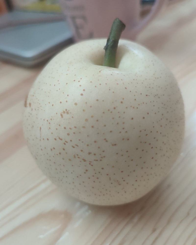 白宝石梨🍐