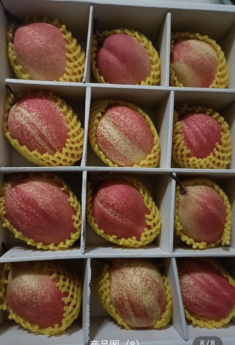 七彩虹梨，高品质，200箱起步