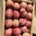 七彩虹梨，高品质，200箱起步