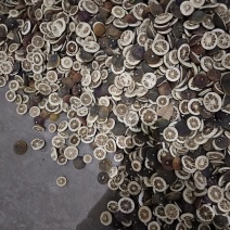 新鲜枳壳，健康美味，**特惠！