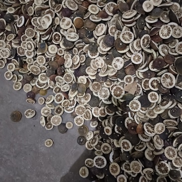 新鲜枳壳，健康美味，**特惠！