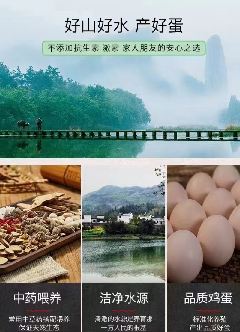 无抗鸡蛋货源稳定品质保障一件代发整车发都可