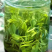 日照绿茶新茶