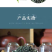 日照绿茶新茶
