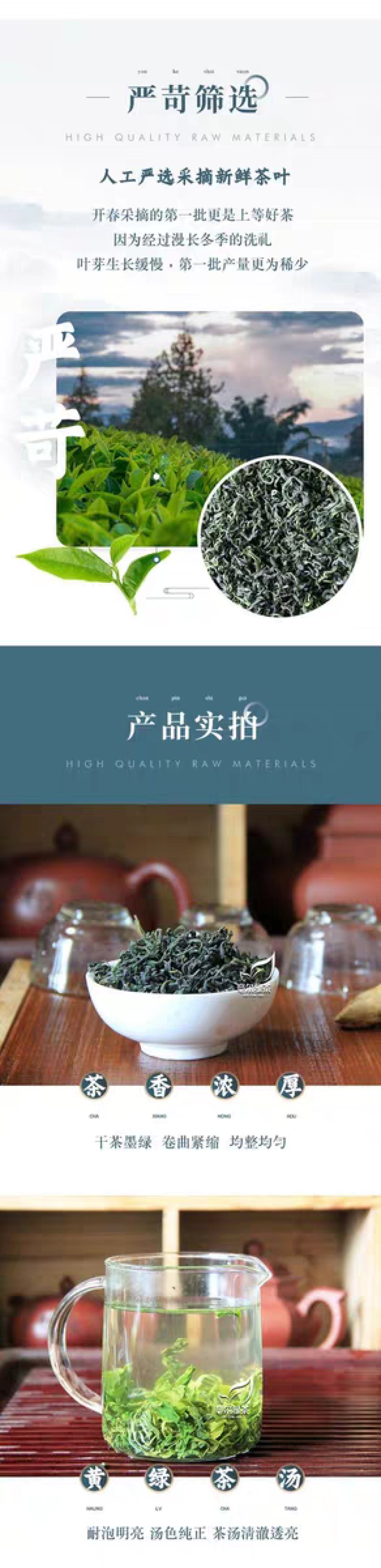 日照绿茶新茶