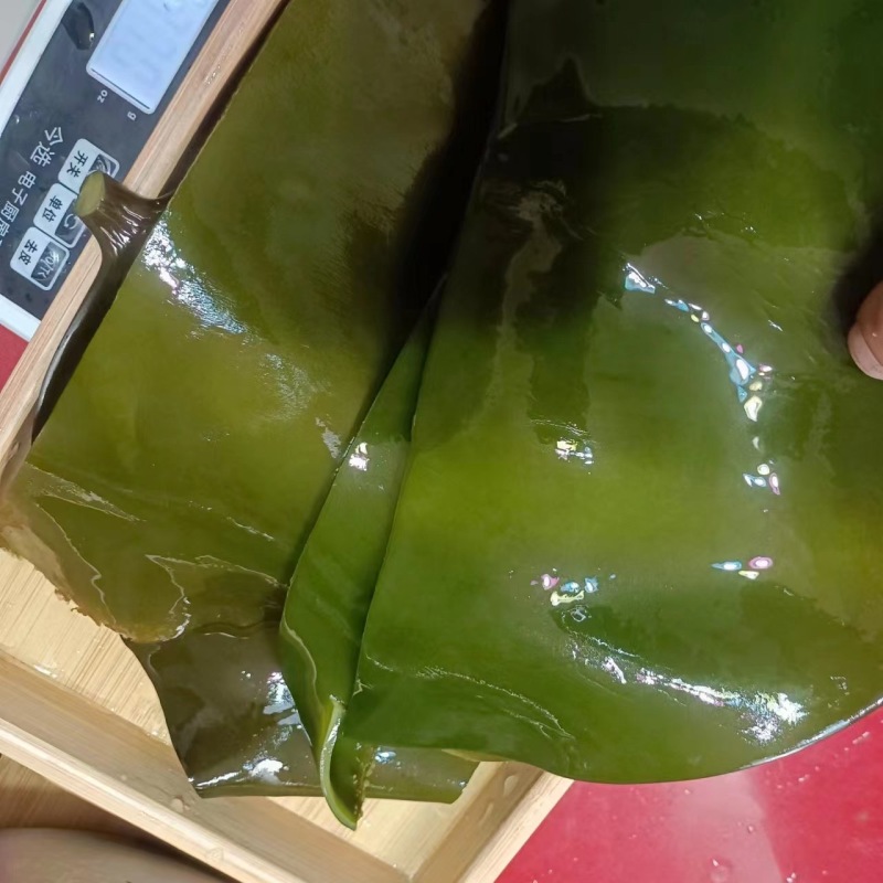 荣成特产10成干烘干海带头13～15倍泡发率巨厚