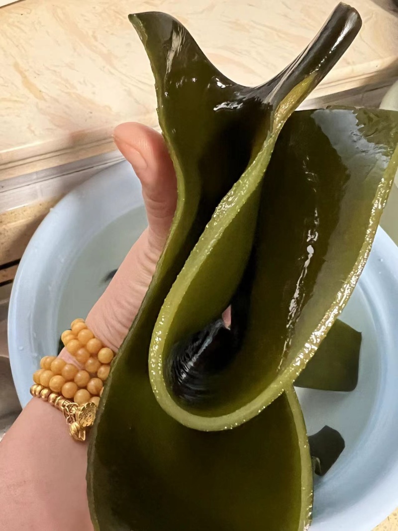 荣成特产10成干烘干海带头13～15倍泡发率巨厚