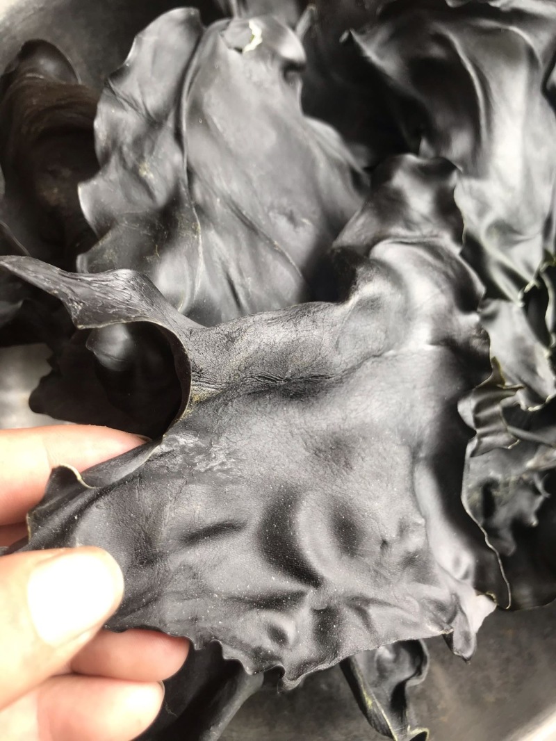 荣成特产10成干烘干海带头13～15倍泡发率巨厚
