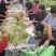 大家好本地大量葡萄上市，各种品种都有，忘前来采购。