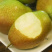 陕西酥梨红香酥梨皮薄汁多货源充足诚信第一
