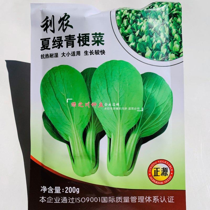 正源蔬菜种子利农夏绿青梗菜种子青梗绿叶青菜种籽抗热耐湿