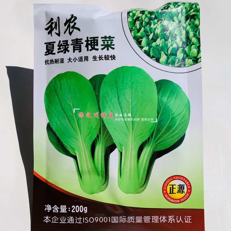 正源蔬菜种子利农夏绿青梗菜种子青梗绿叶青菜种籽抗热耐湿