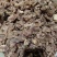 熟牛筋头巴脑无油无水7成熟河北沧州献县厂家直销熟牛蹄筋