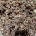 熟牛筋头巴脑无油无水7成熟河北沧州献县厂家直销熟牛蹄筋