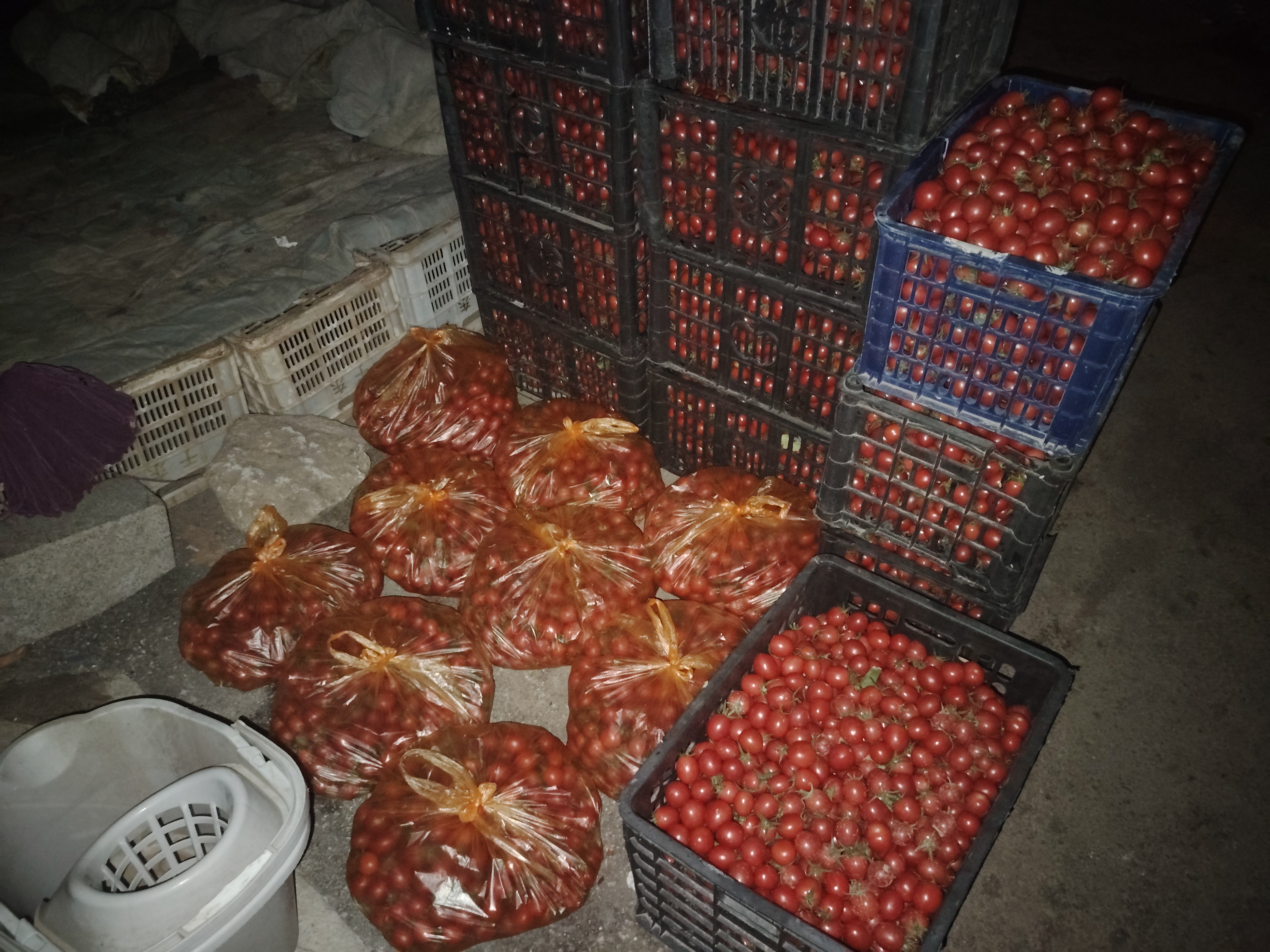 家庭厨房中圣女果存放方式示意图