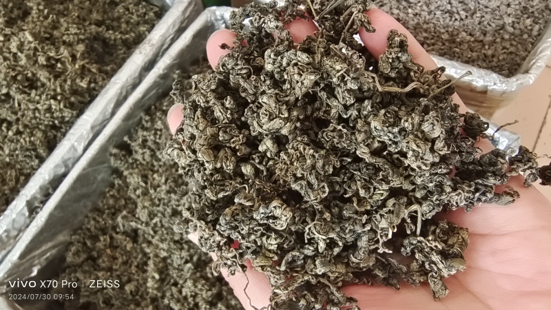 绞股蓝水洗干货散装药食同源量大从优