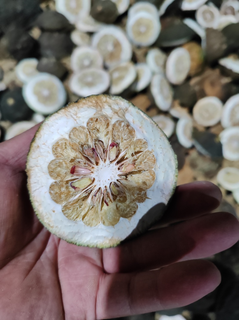 枳壳
