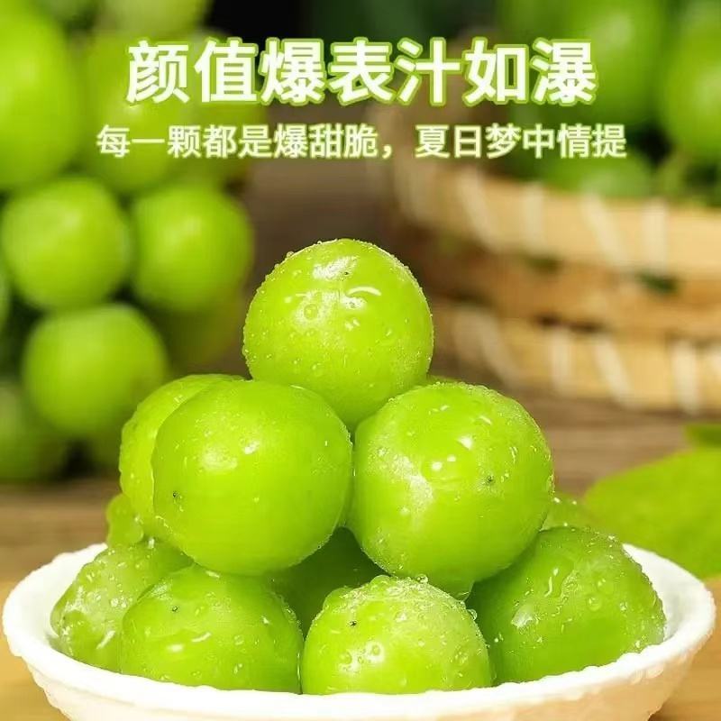 阳光玫瑰葡萄口感好糖度高货源充足价格优惠欢迎下单