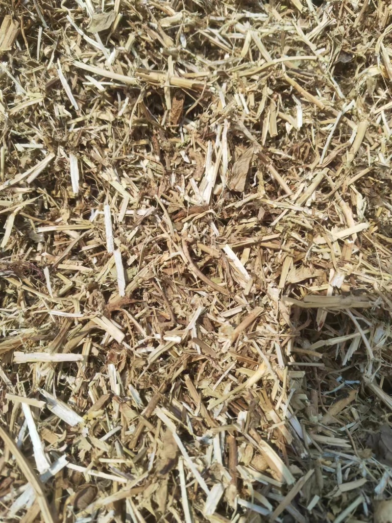 花生秧中小草
