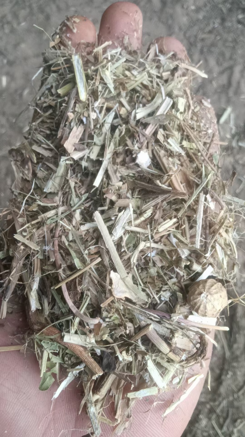花生秧中小草