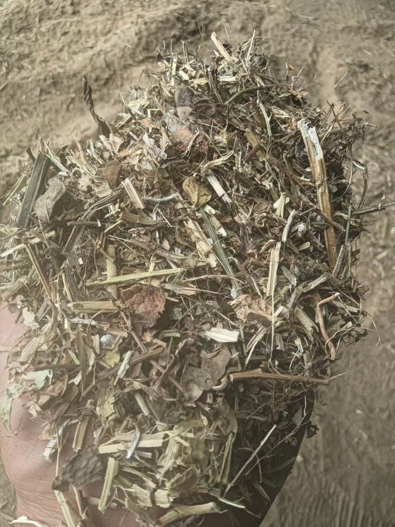 花生秧中小草