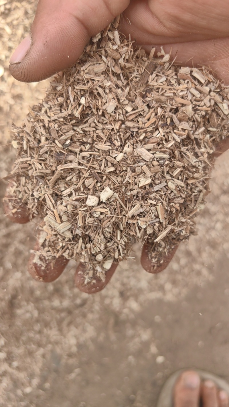 花生秧中小草