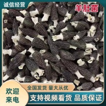 【产地直发】精品头茬新货羊肚菌原产地一斤起批包邮