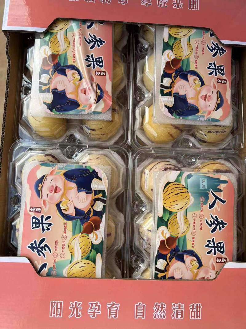 鲜源参果，石林风化石土地生长，清甜多汁，健康美味佳肴
