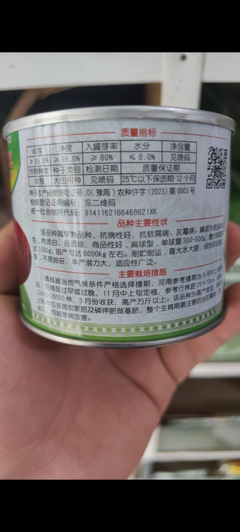 早熟洋葱种子，早丰紫冠，扁平桩，深紫皮抗病高产，提前上市