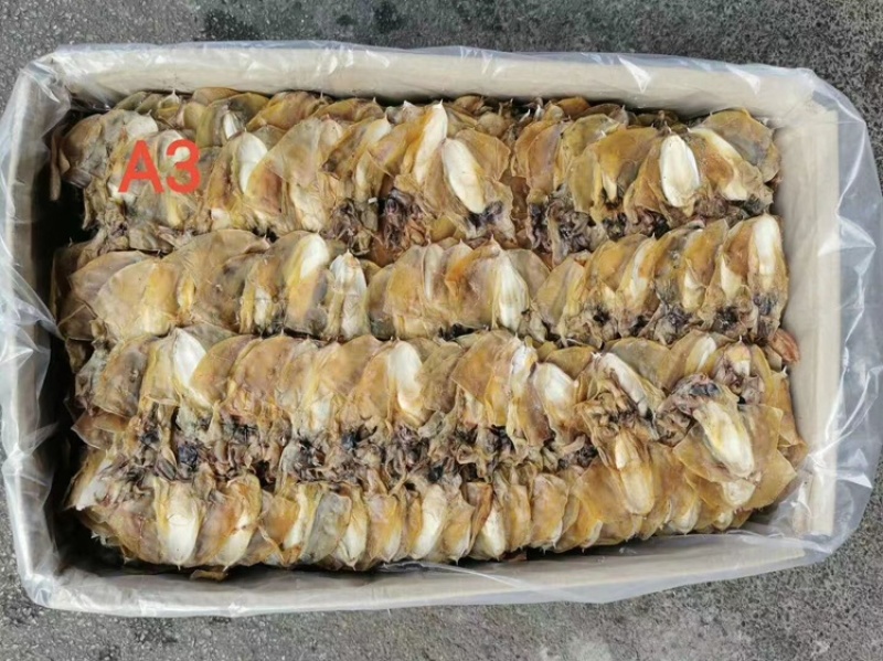 墨鱼干淡干小墨鱼