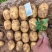 希森土豆大量上市一手货源，价格优惠，欢迎采购