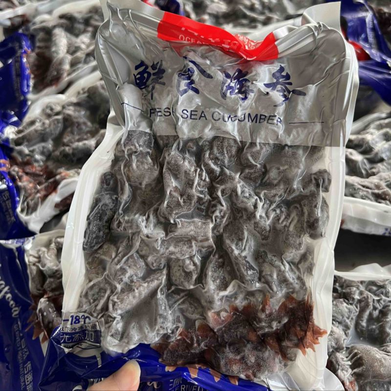 即食海参残参海参厂家批发